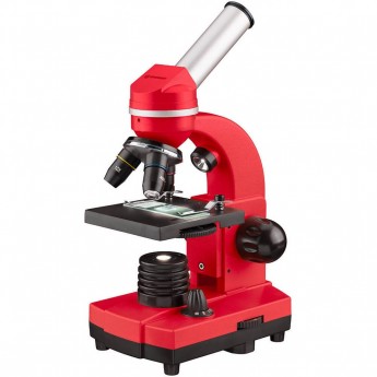 Как проводится настройка микроскопа по Келлеру